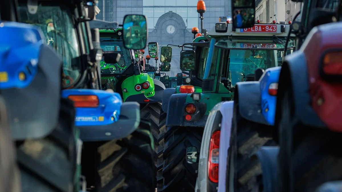 Conferința Națională AGRI4FUTURE: România - Obiectiv 2035 aduce în dezbatere bugetul PAC 2028-2034 și securitatea alimentară
